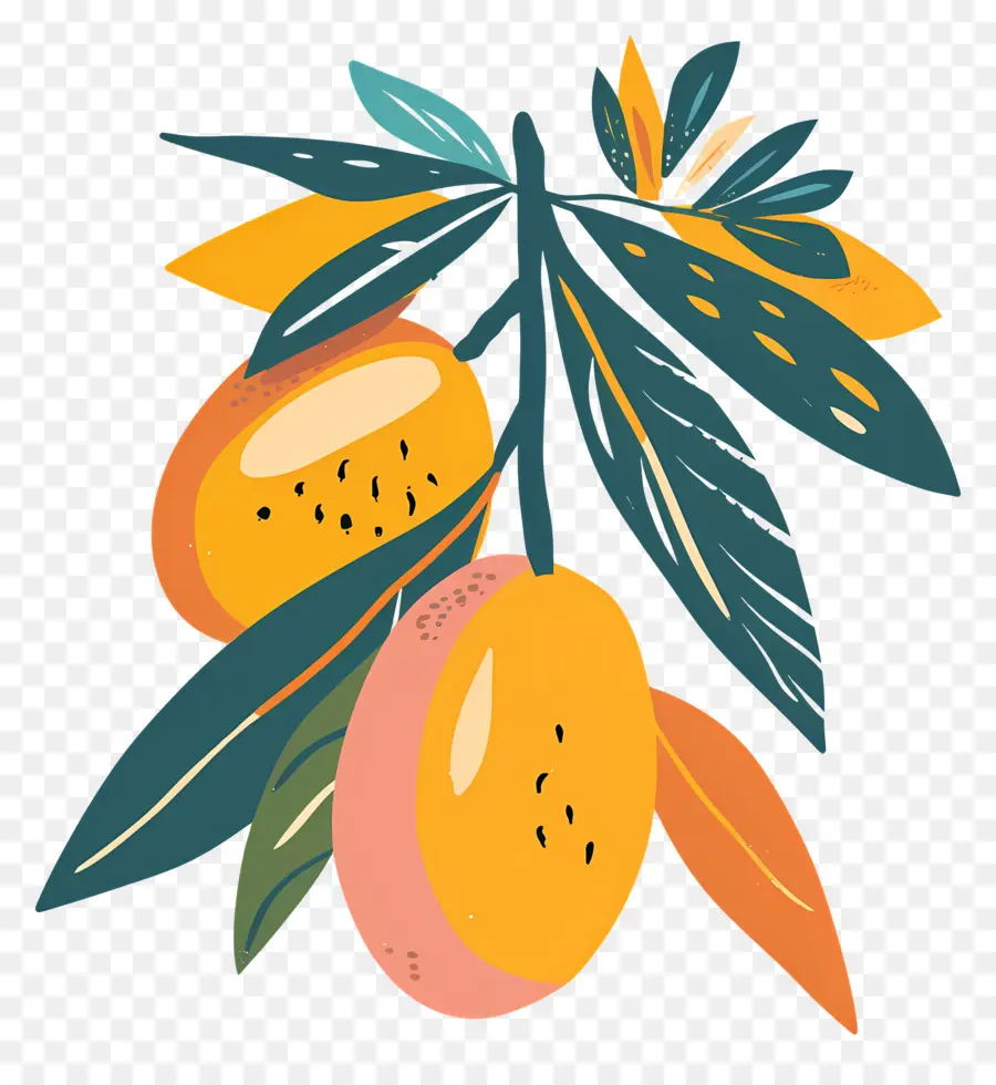 La Mangue，Les Oranges PNG