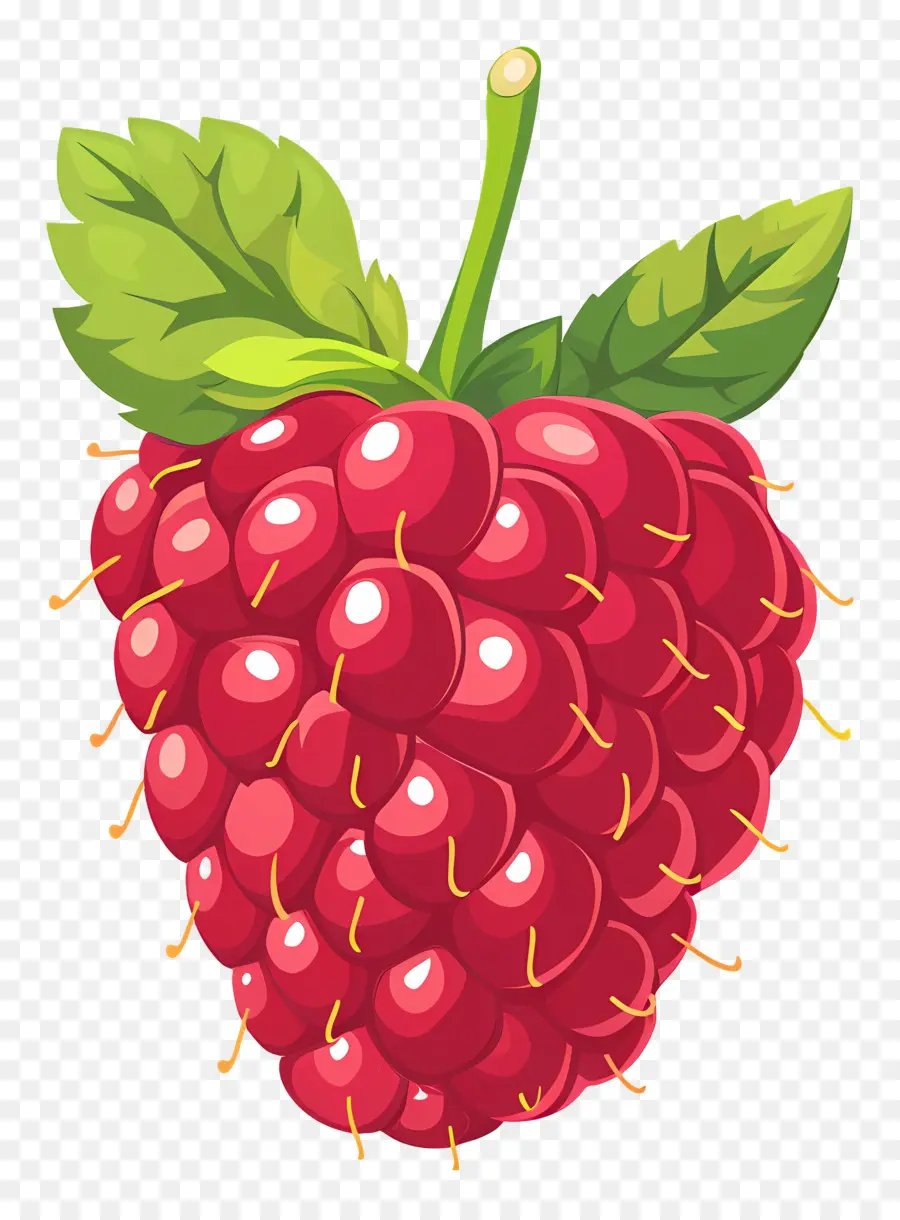 Framboise，Rouge PNG