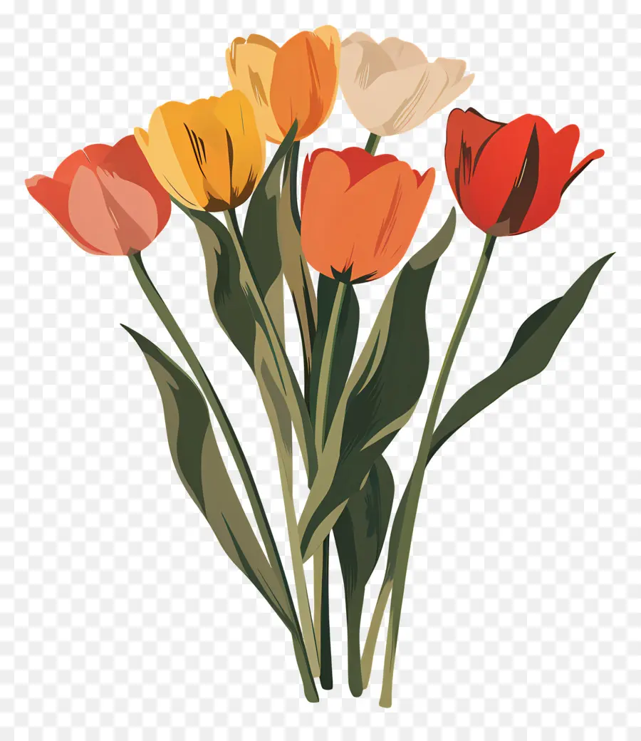 Bouquet De Tulipes，Tulipes PNG