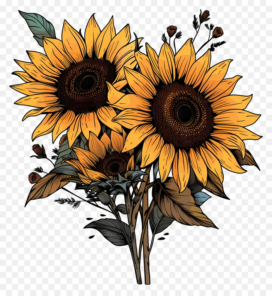 Bouquet De Tournesol，Tournesol PNG