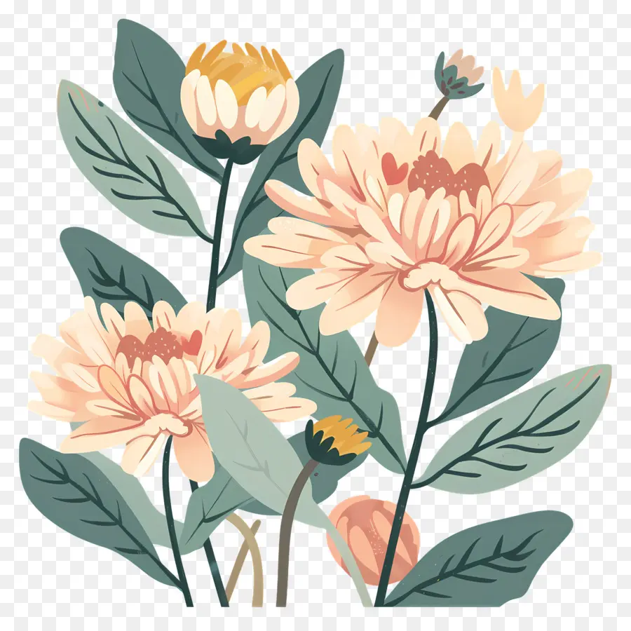 Chrysanthème，Fleurs Oranges PNG