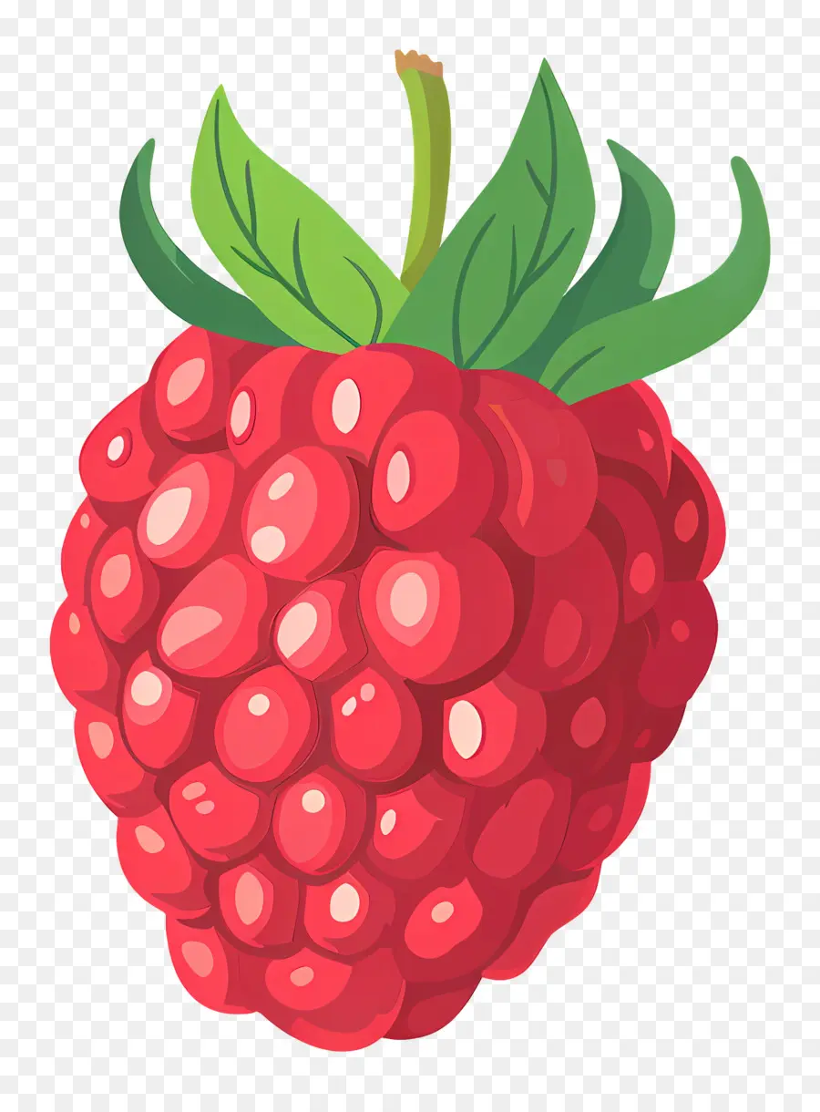 Framboise，Fruits PNG