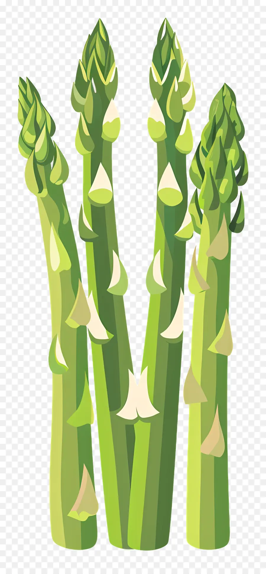 Asperge，Vert PNG