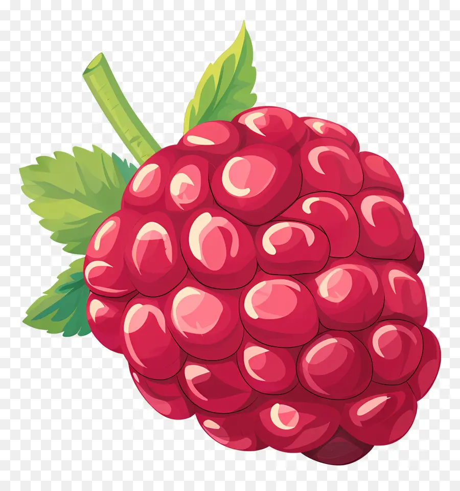 Framboise，Fruits PNG