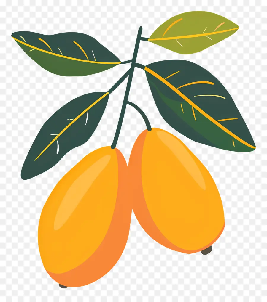 La Mangue，Les Agrumes PNG