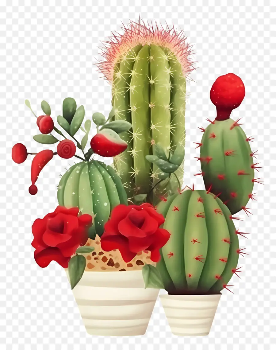 Succulente En Pot，Cactus Avec Des Fleurs PNG