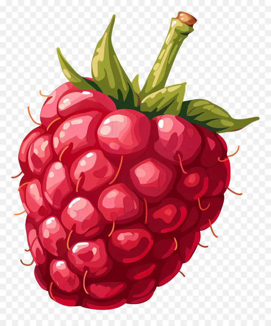 Framboise，Rouge PNG