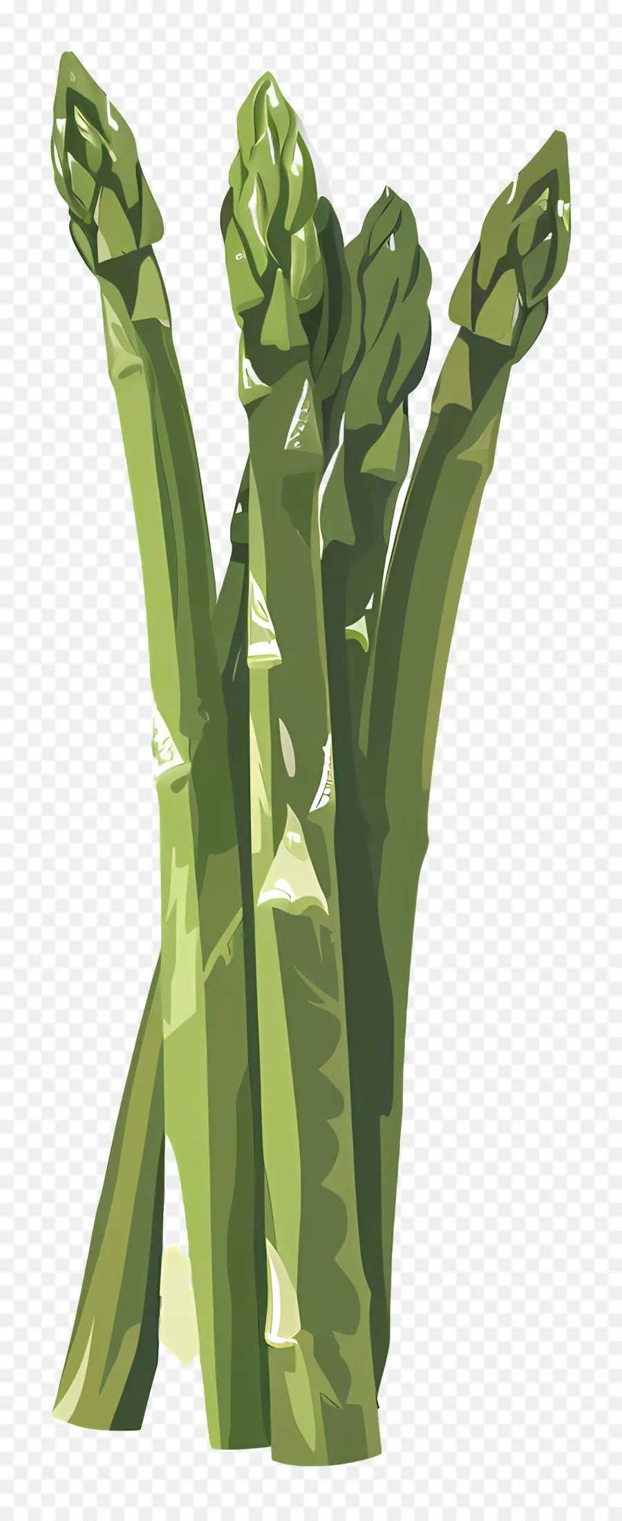 Asperge，Vert PNG