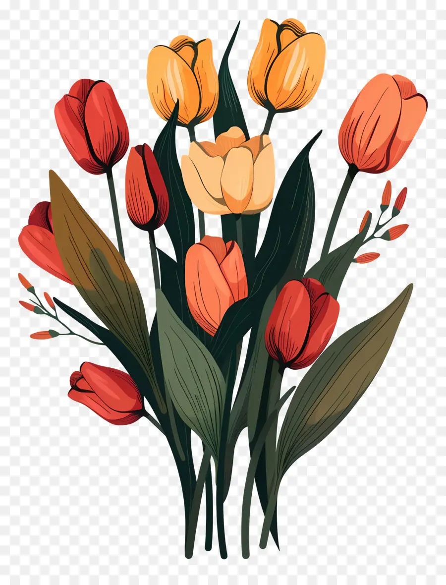 Bouquet De Tulipes，Orange Tulipes PNG