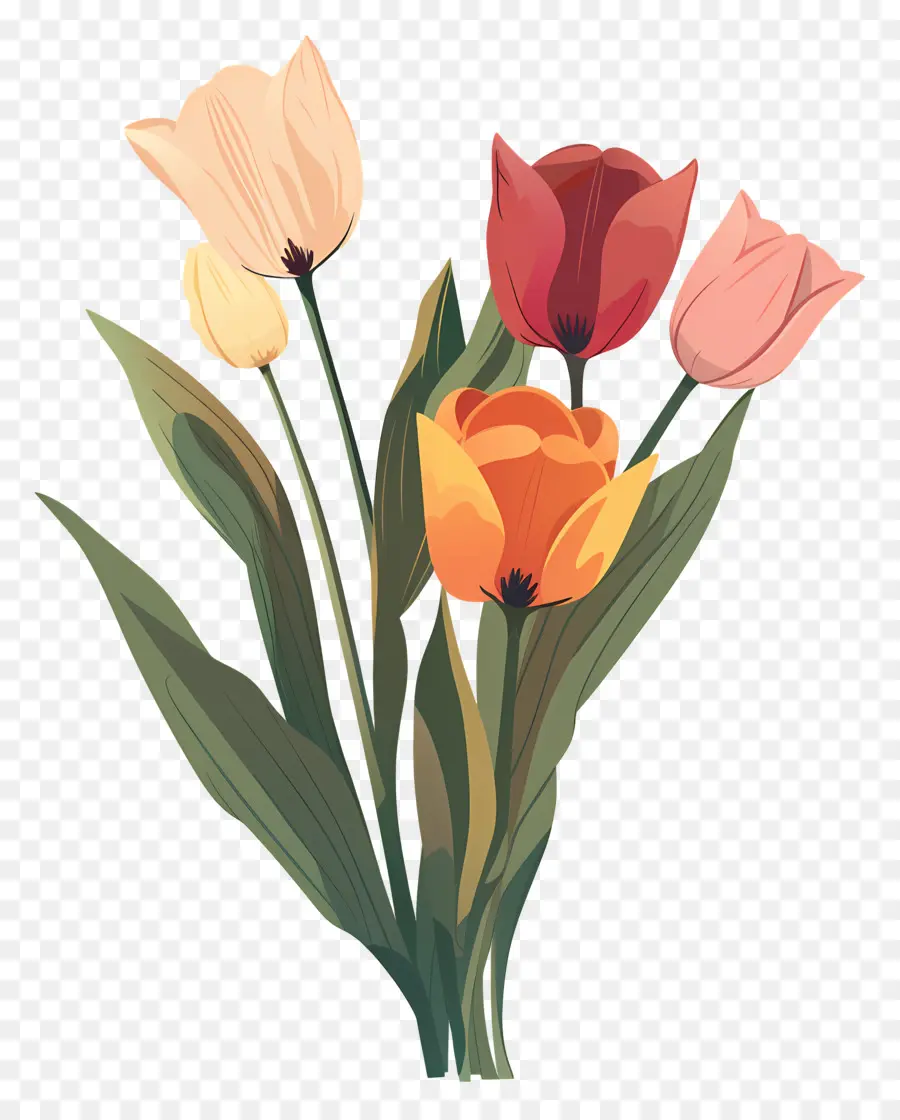 Bouquet De Tulipes，Les Tulipes PNG