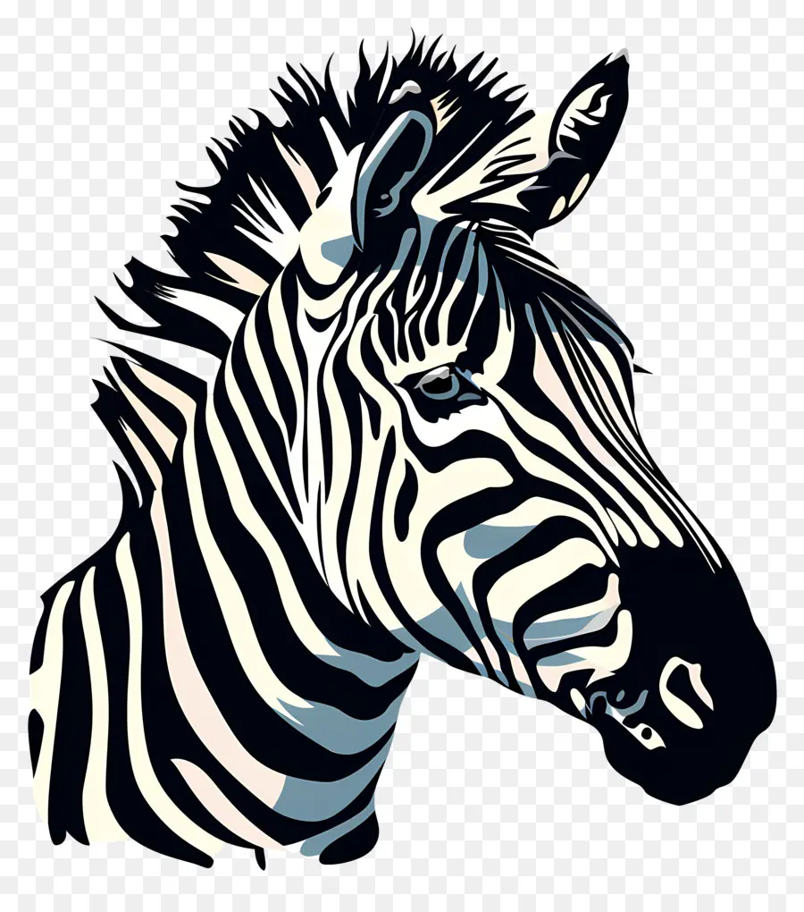 Zebra La Tête，Zèbre PNG