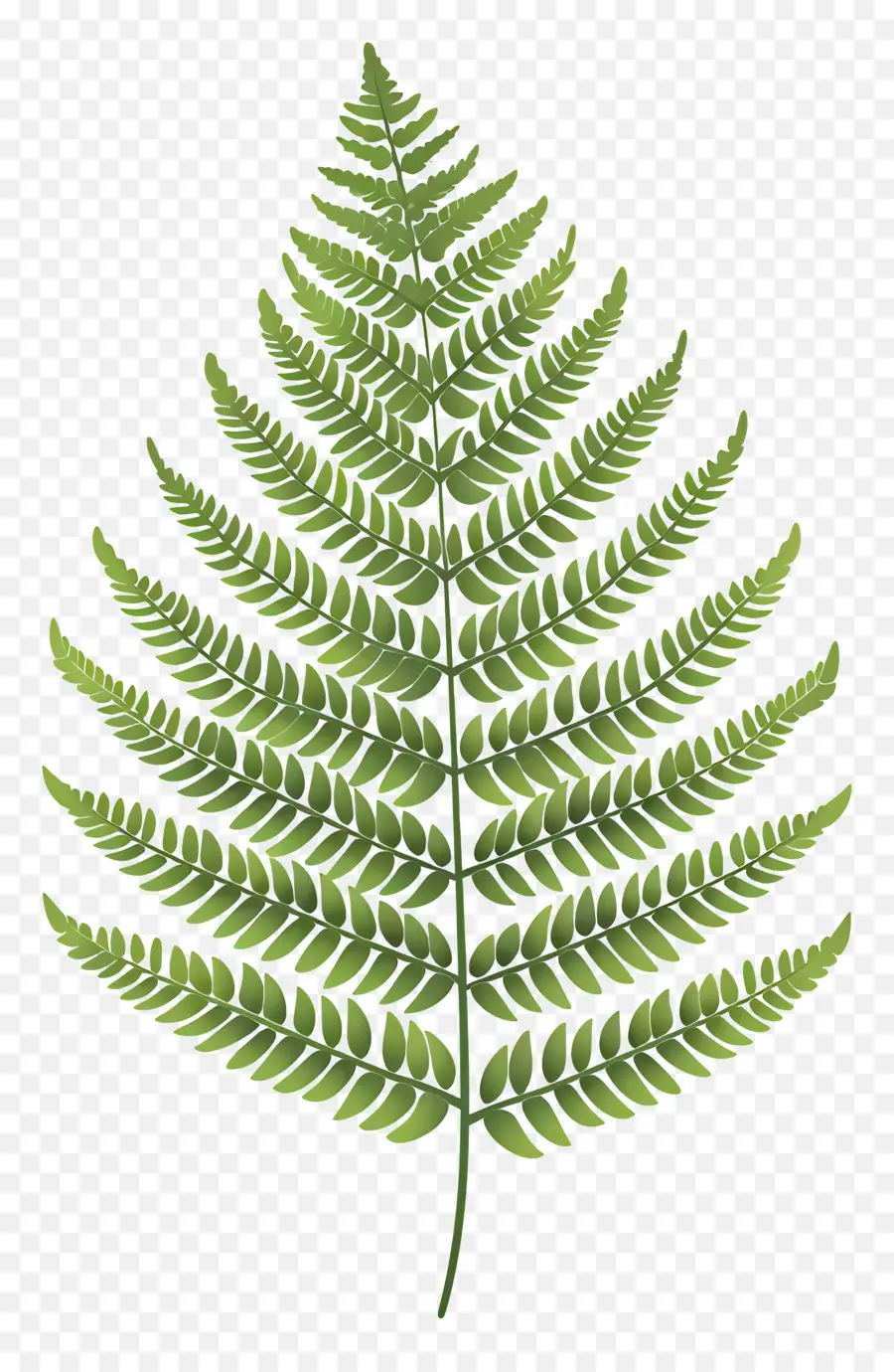 Feuille De Fougère，Feuilles Vertes PNG