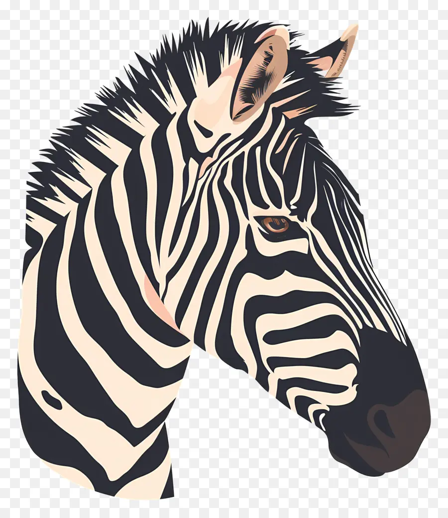 Zebra La Tête，Zèbre PNG