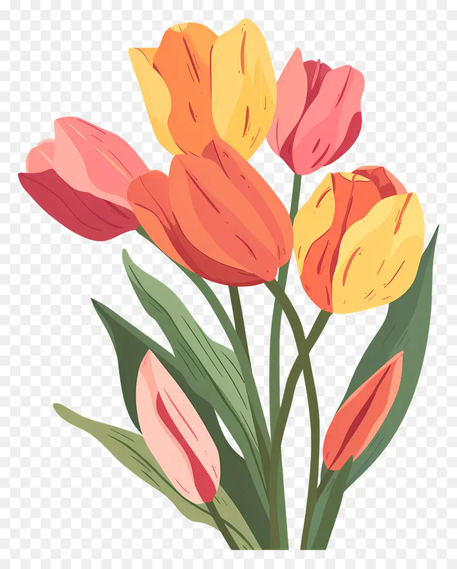 Bouquet De Tulipes，Tulipes PNG