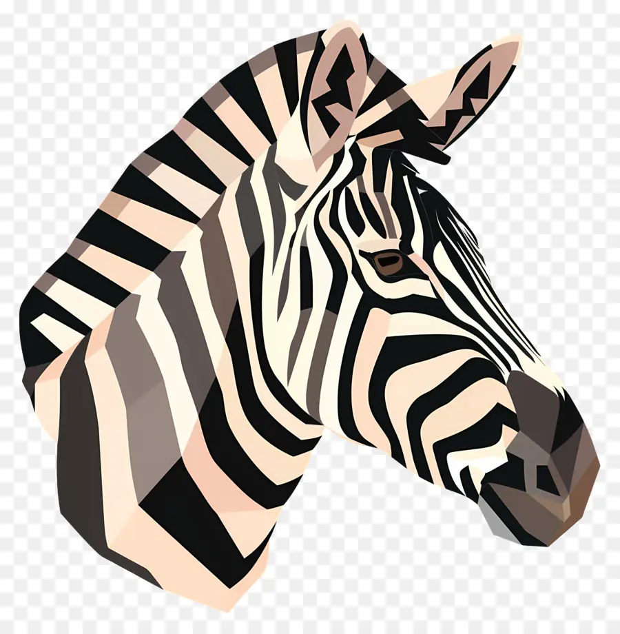 Zebra La Tête，Zèbre PNG