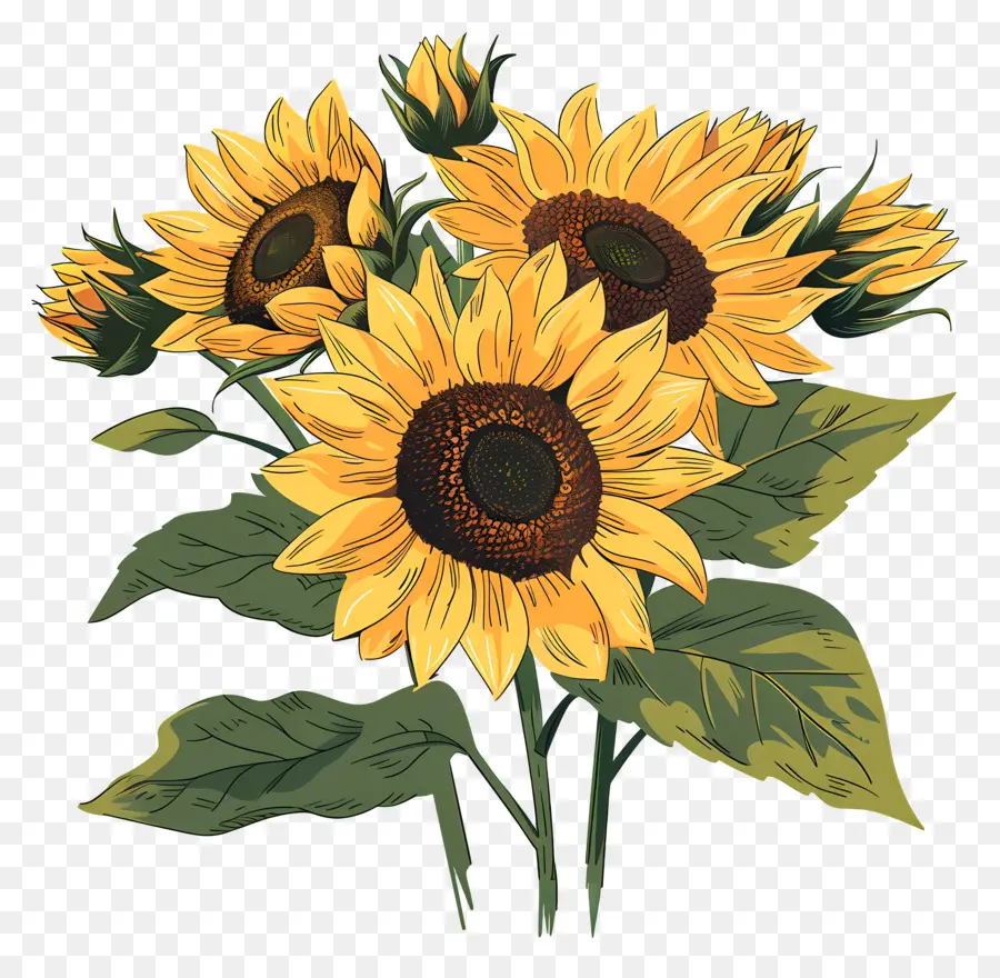 Bouquet De Tournesol，Tournesols PNG