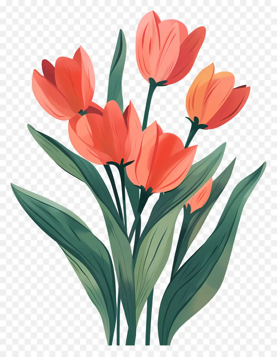 Bouquet De Tulipes，Orange Tulipes PNG