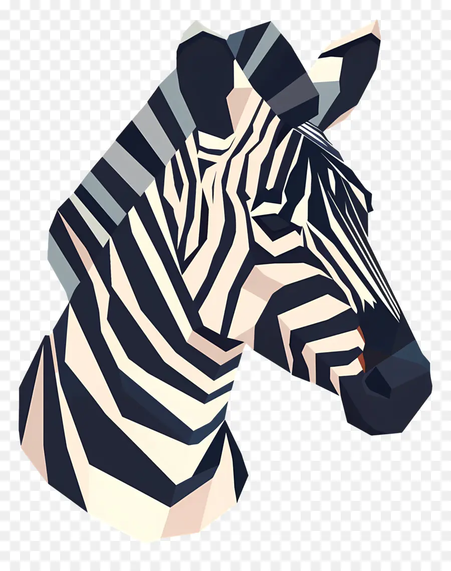 Zebra La Tête，Zèbre PNG