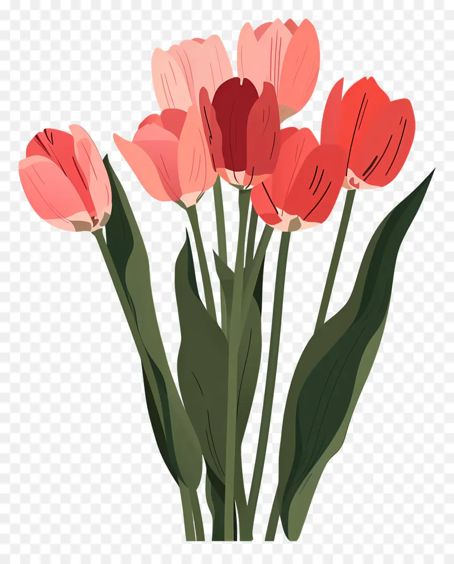 Bouquet De Tulipes，Tulipes Roses PNG
