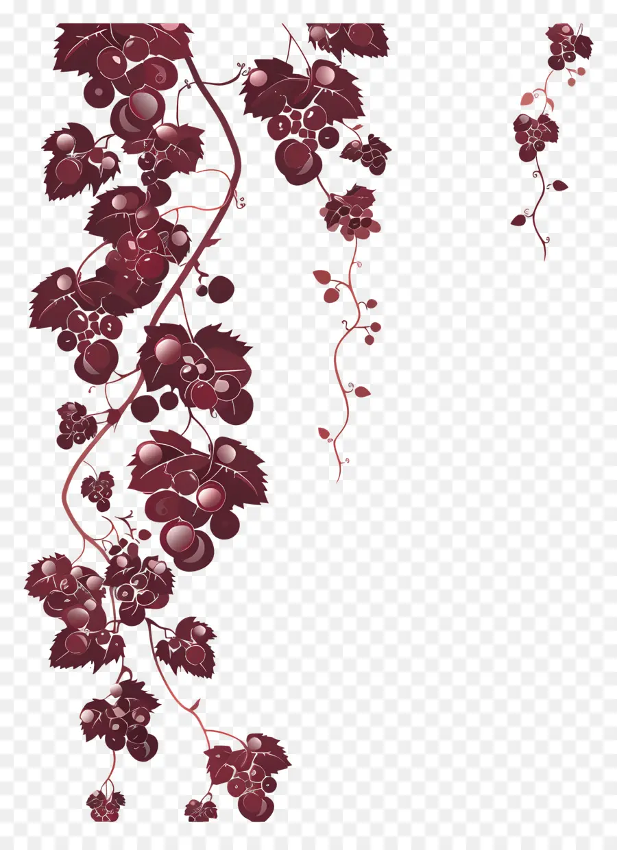 Vigne，Raisins PNG