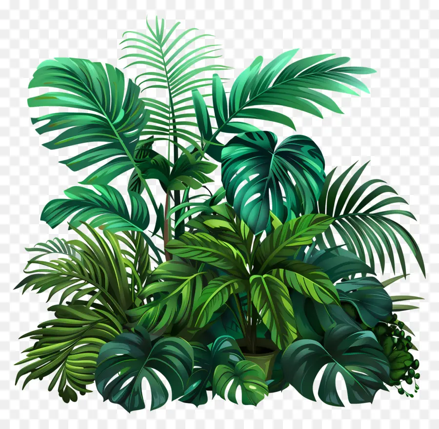 Plantes De La Jungle，Plante Tropicale PNG