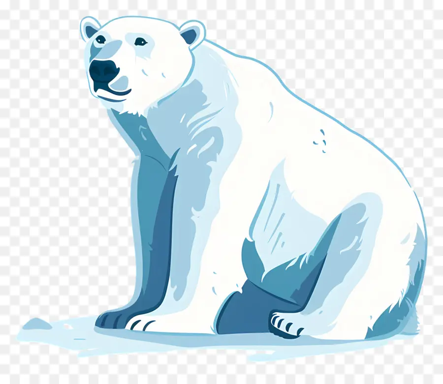 L'ours Polaire，De L'arctique PNG
