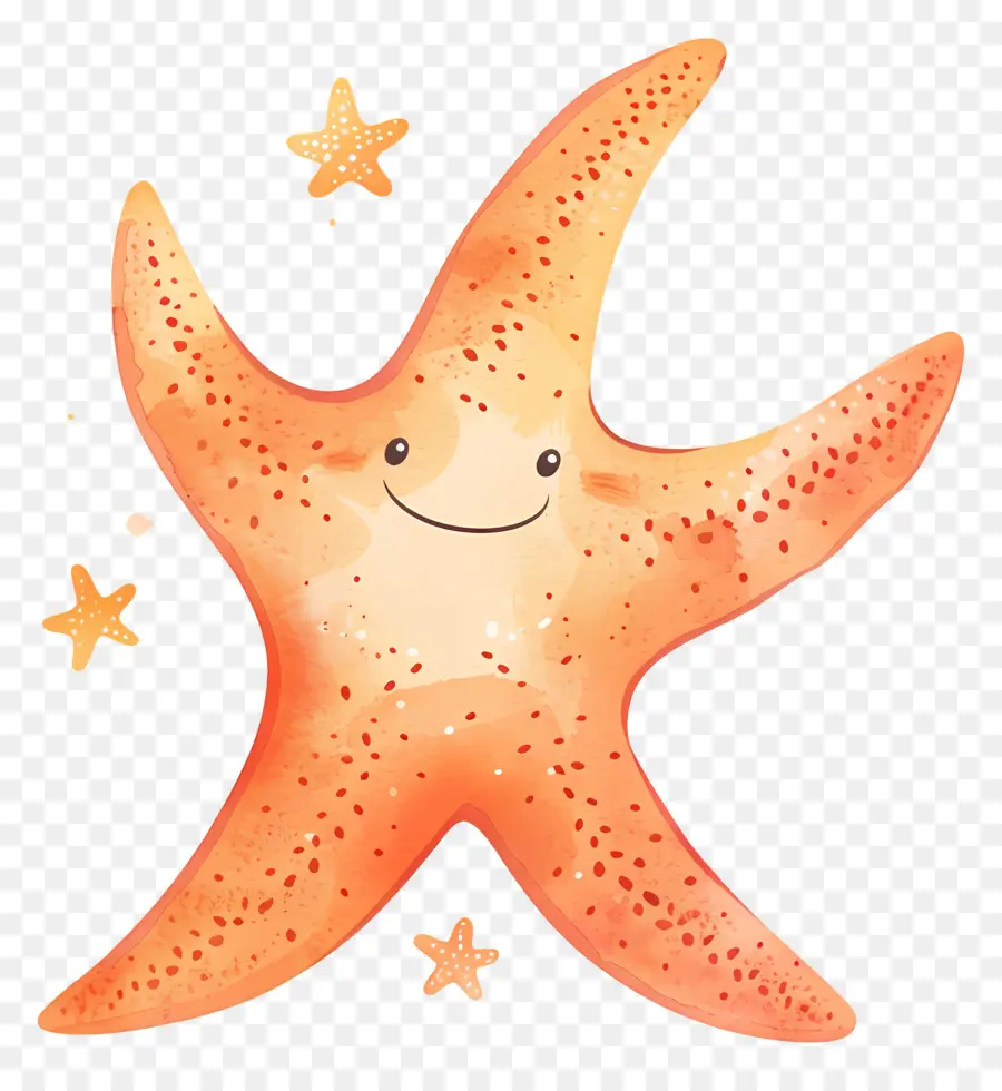Les étoiles De Mer，Dessin Animé Les étoiles De Mer PNG
