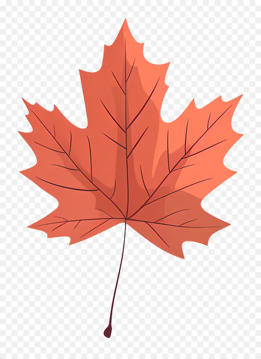 Feuille D'érable，Automne PNG