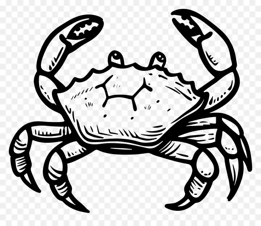 L'été，Crabe PNG