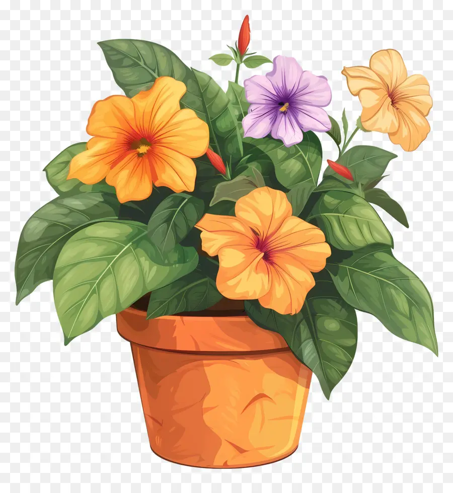 Fleurs En Pot，Plante En Pot PNG