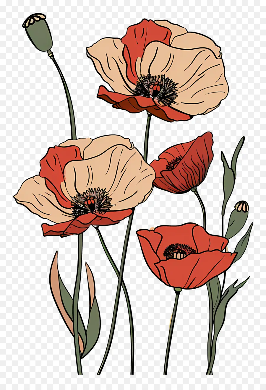 Coquelicots，Coquelicots Rouges PNG