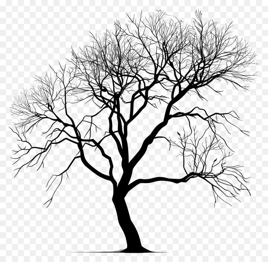Arbre，L'arbre Noir PNG