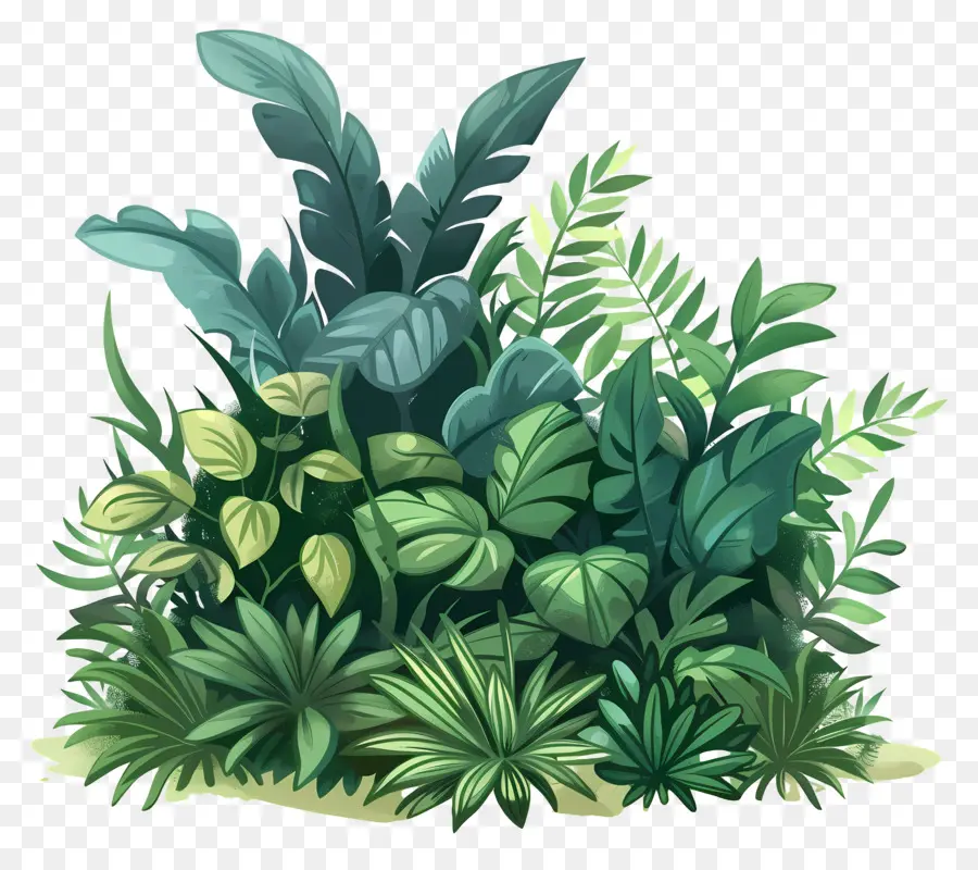 Arbuste Vert，Jungle PNG