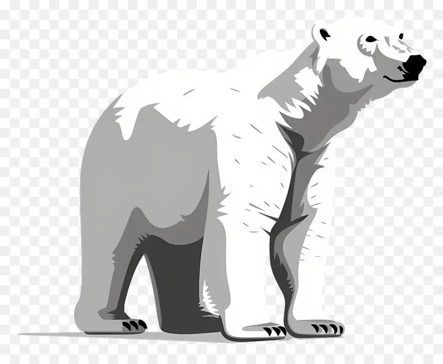 L'ours Polaire，De L'arctique PNG