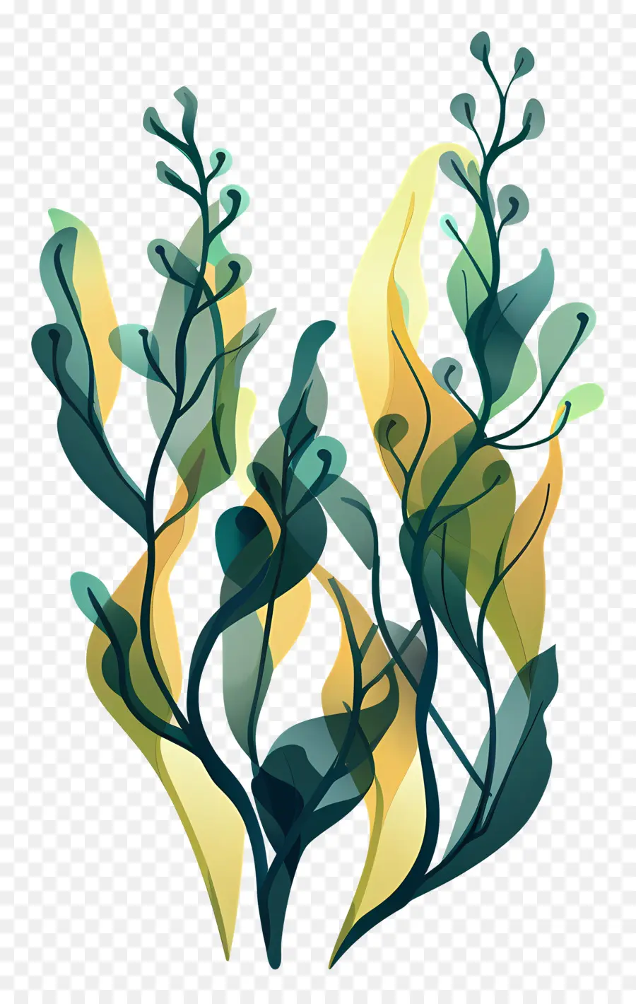 Les Algues，Plante PNG