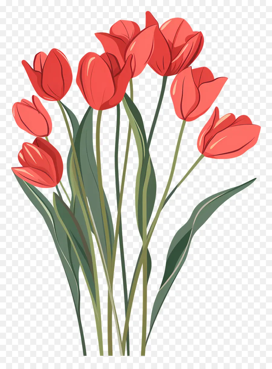 Bouquet De Tulipes，Tulipes PNG