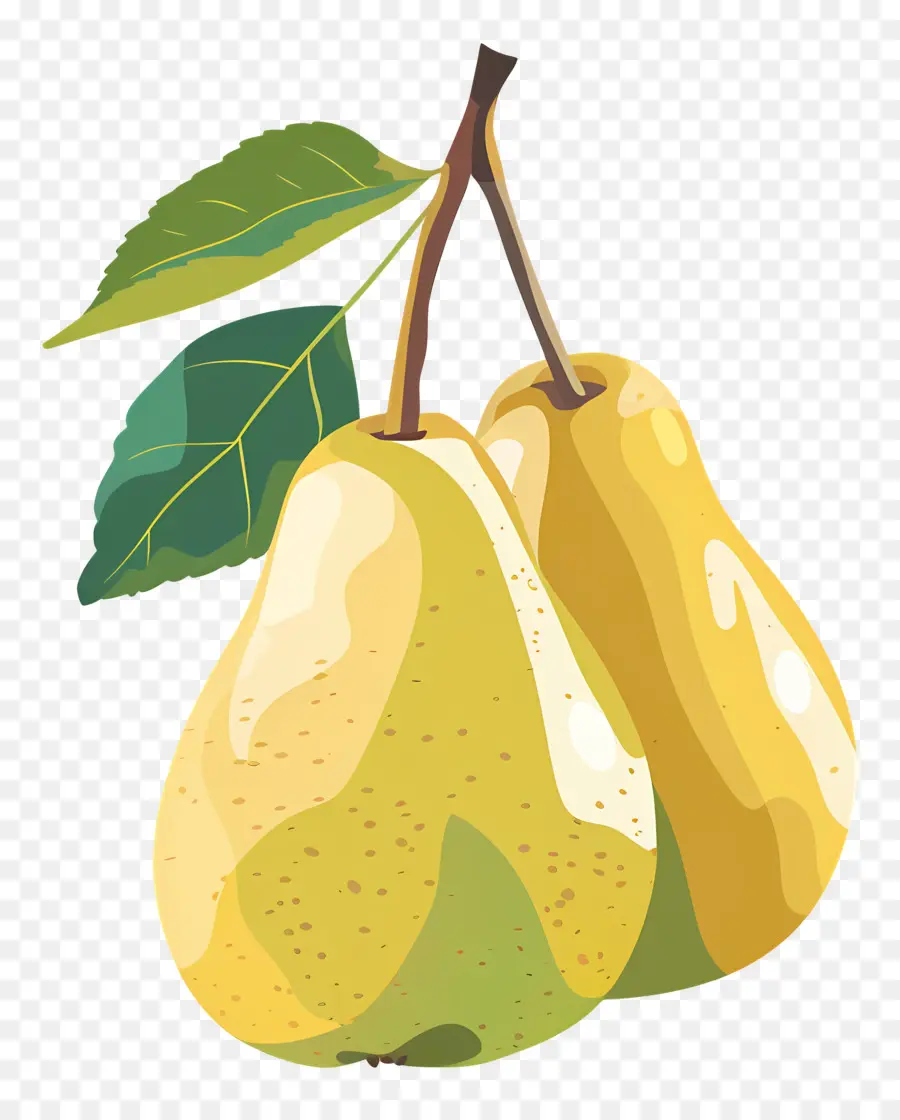 Poires，Fruits PNG