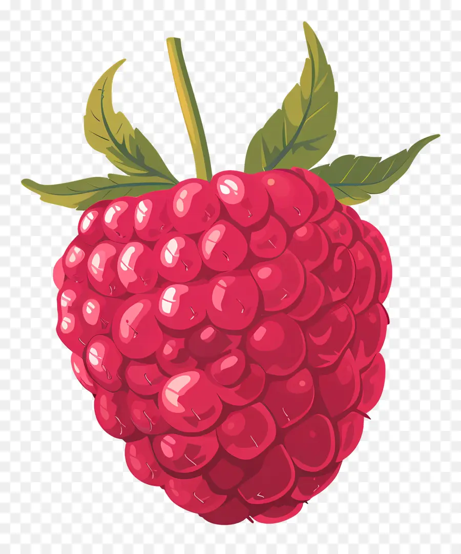 Framboise，Rouge PNG