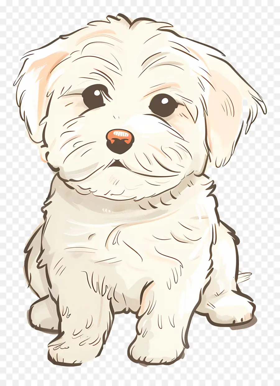 Chien De Griffonnage，Chien PNG