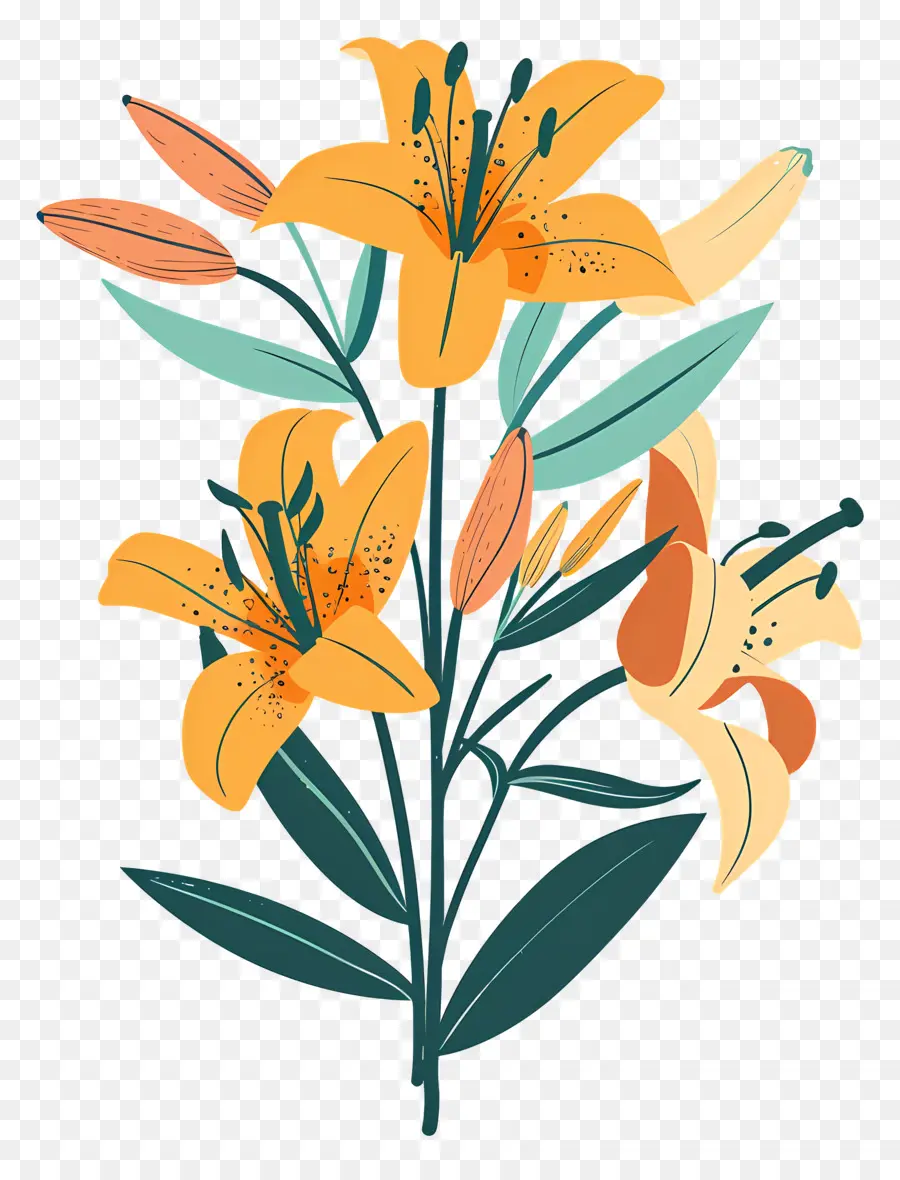 Bouquet De Lys，Fleurs PNG