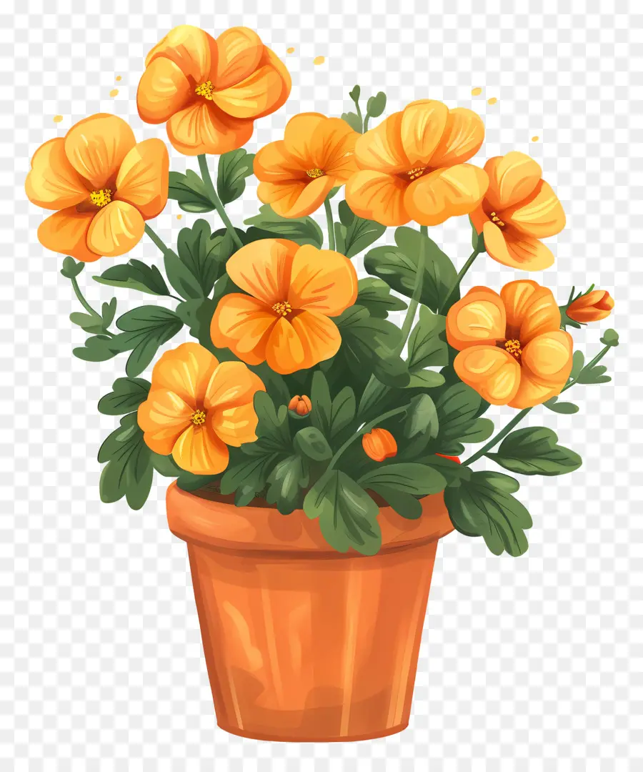 Fleurs En Pot，Fleurs Oranges PNG