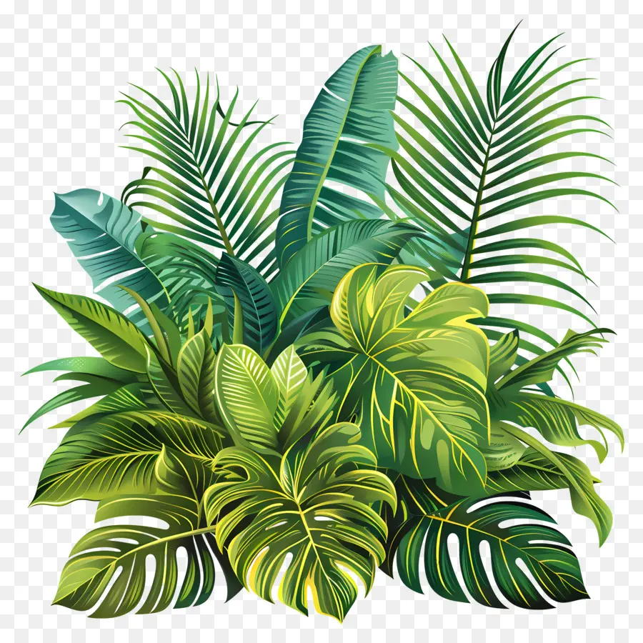 Jungle De Plantes，Plante En Pot PNG