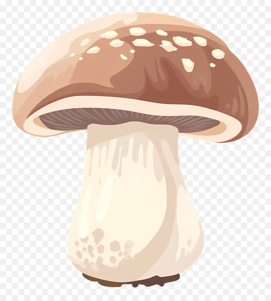 Champignon De Paris，Champignons PNG