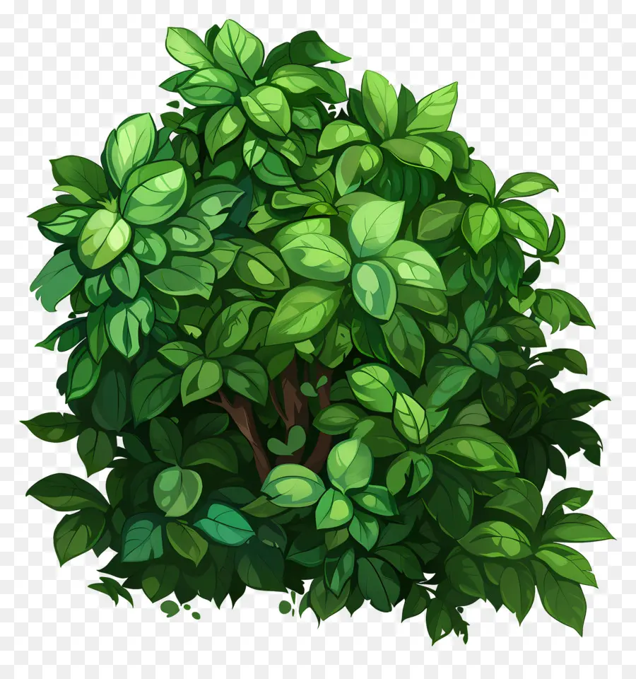 Arbuste Vert，Vert Buisson PNG