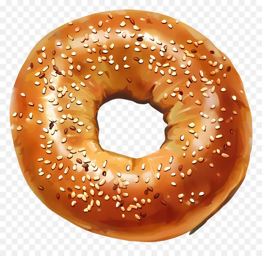 Bagel，Pain PNG