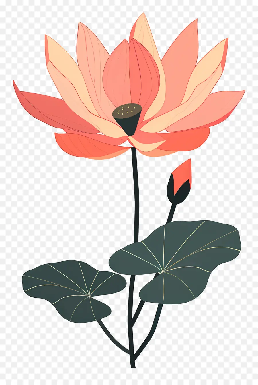 Lotus，Fleur Rose PNG