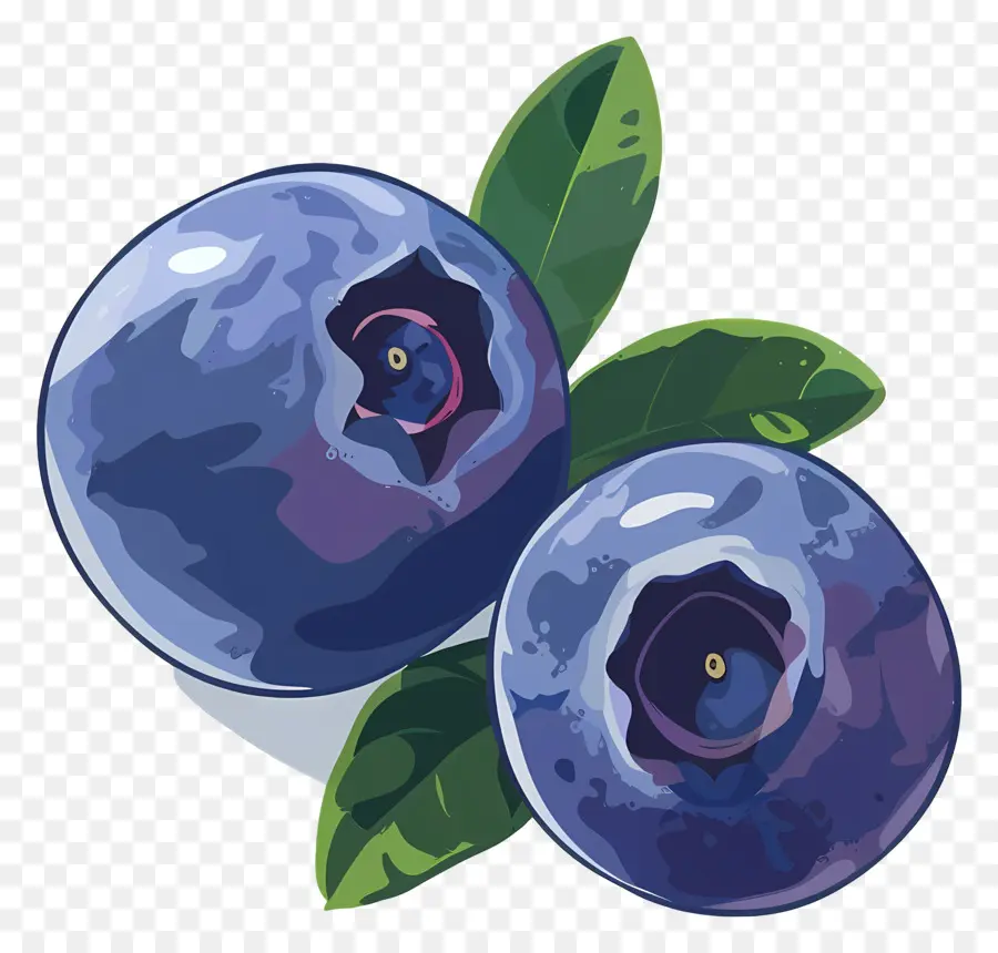 Myrtille，Bleuets PNG