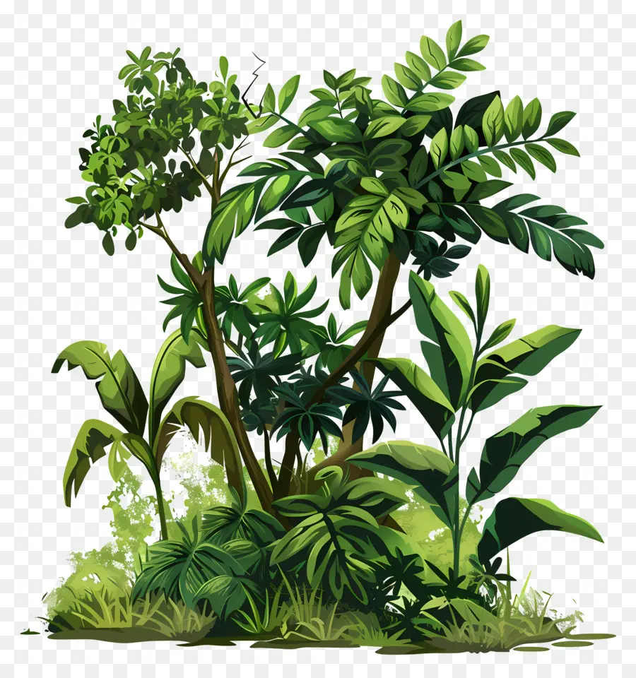 Arbuste Vert，Plantes Tropicales PNG