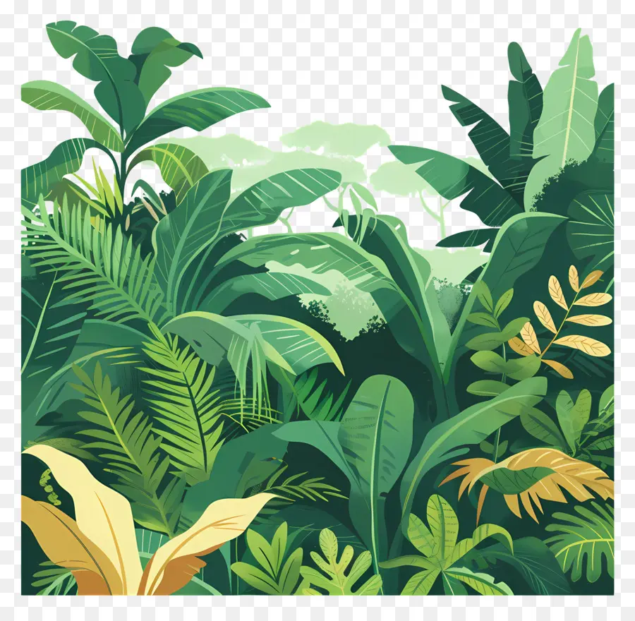 Jungle，Plantes Colorées PNG