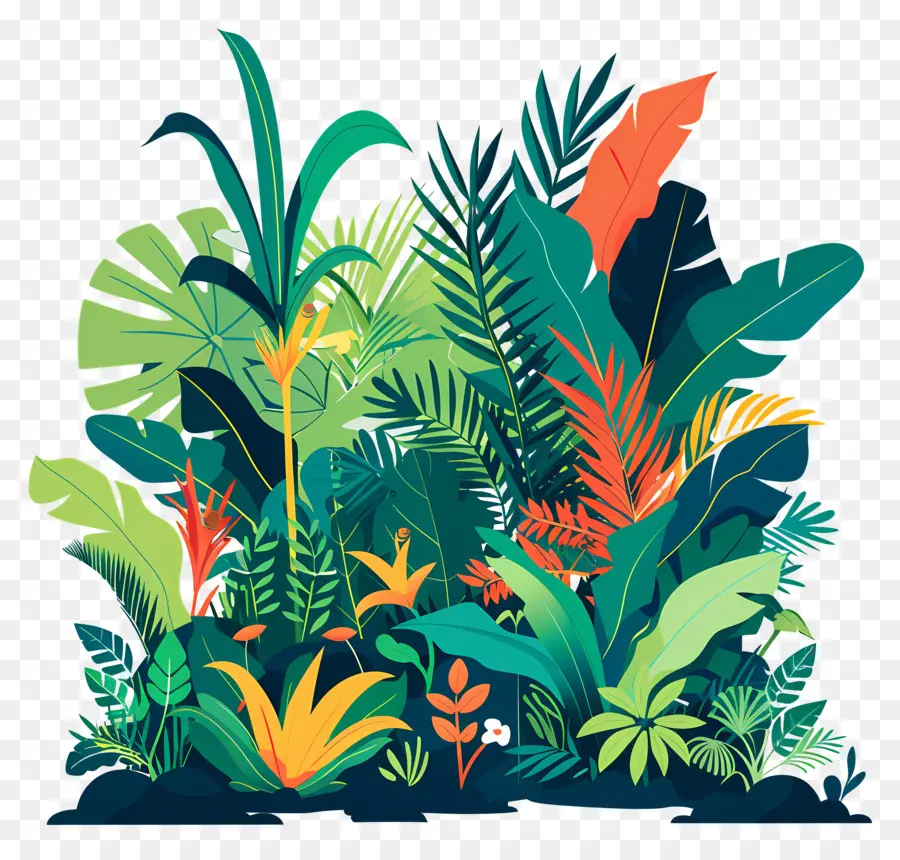 Jungle，Les Plantes PNG